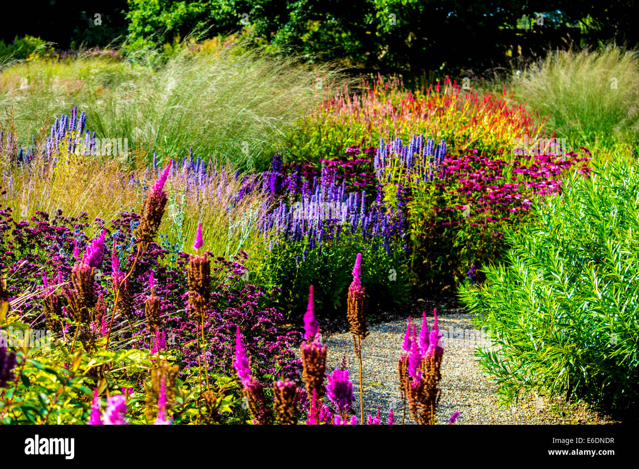 Vivid colours of flowers in nature park in North Norfolk. Stock Photo