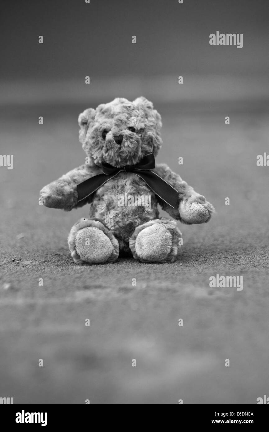 Teddy Bear on the Beach Black and White Stock Photo