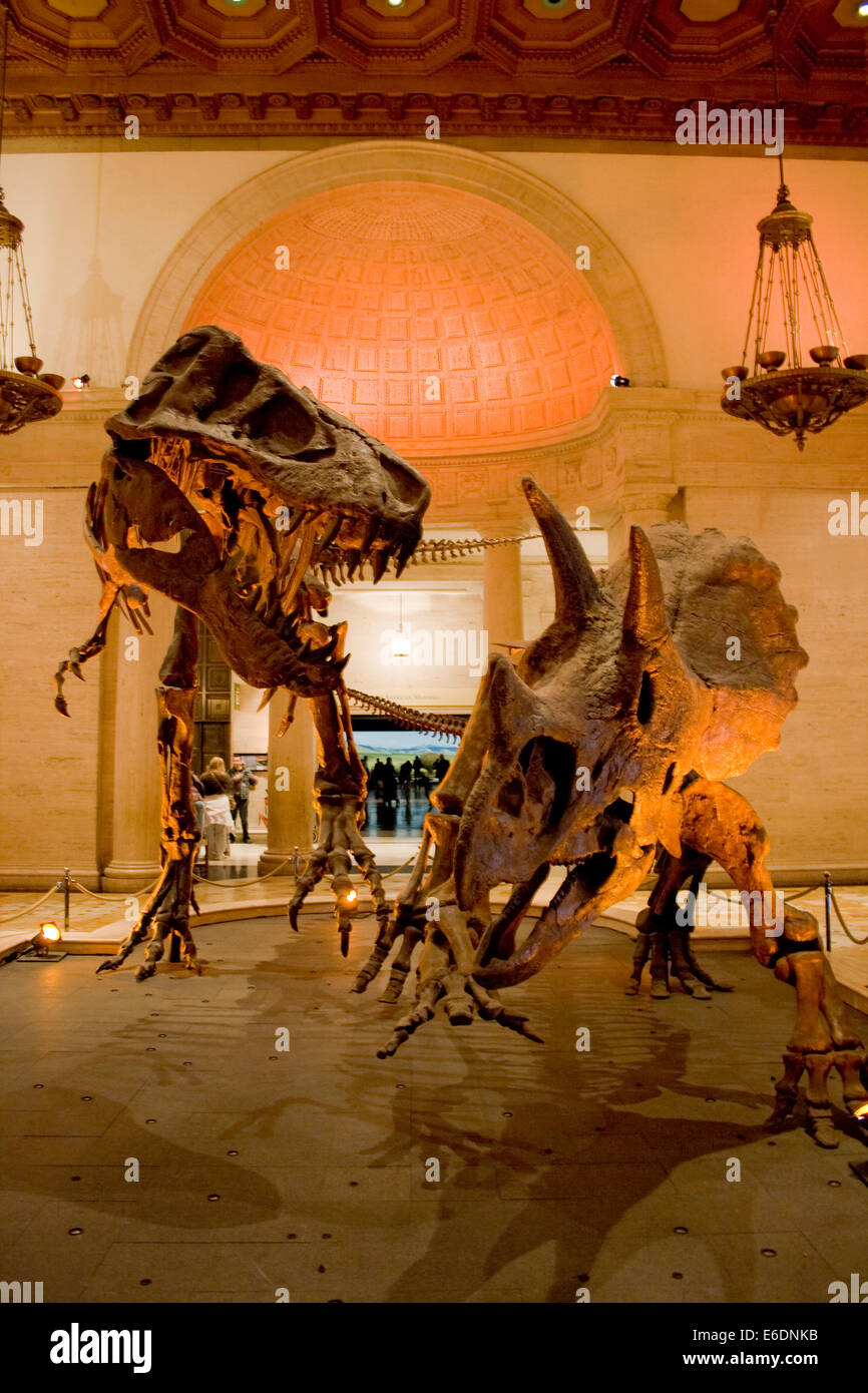 museum exposition park museum exposition park