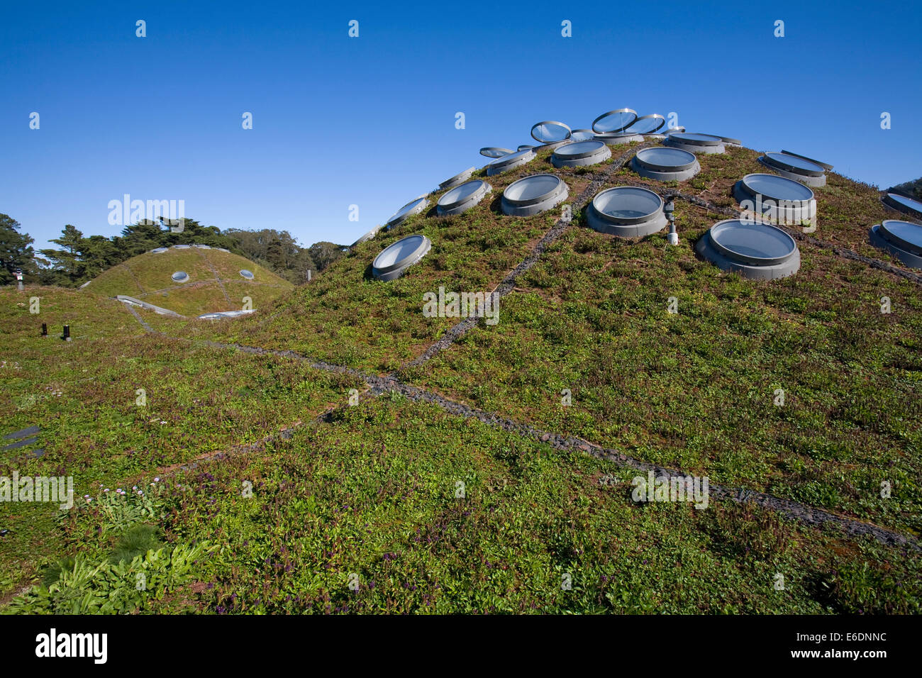 The Living Roof, California Academy of Sciences, Golden Gate park, San Francisco, California