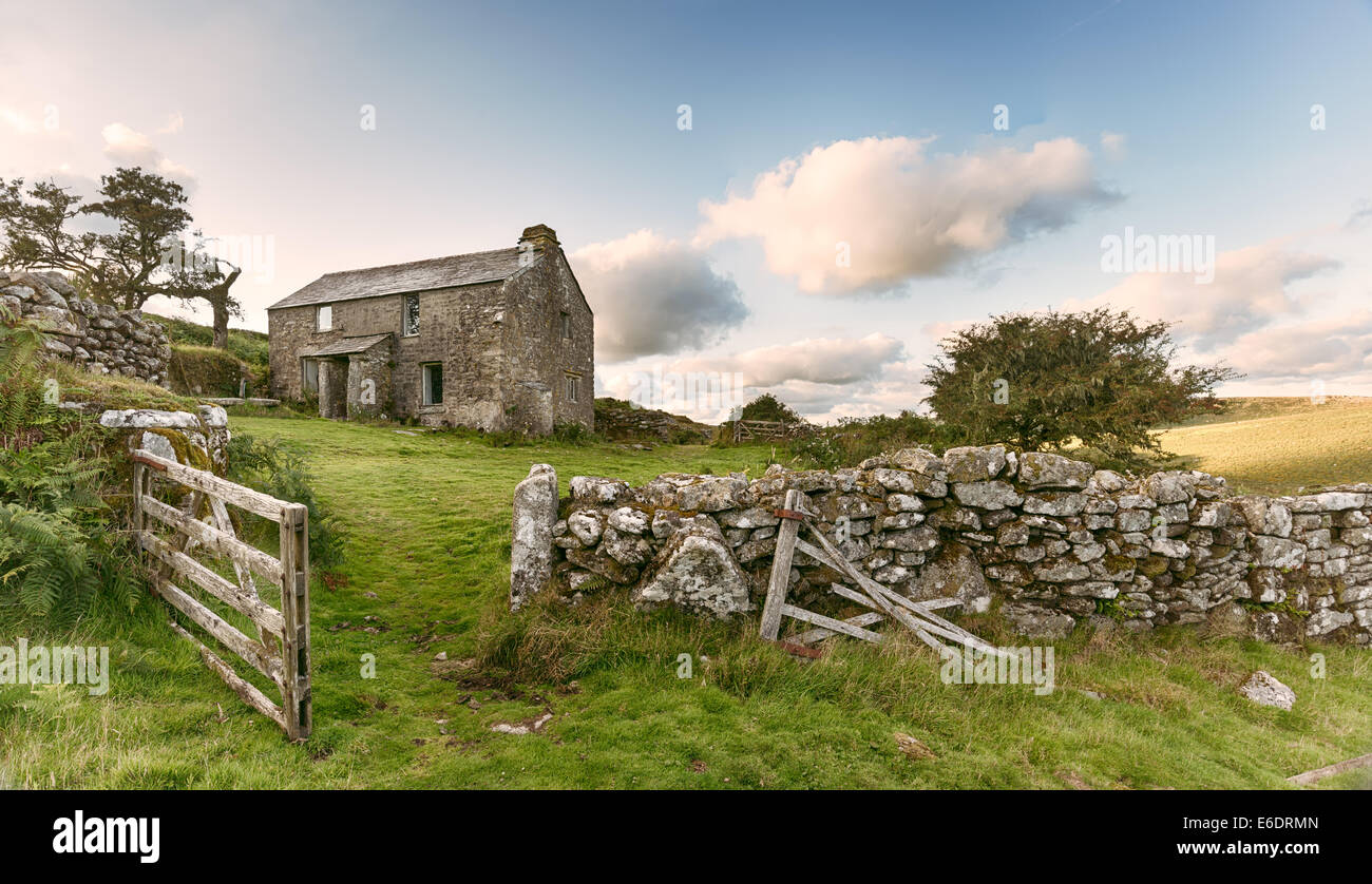 An old abandoned farm cottage on Bodmin Moor in Cornwall - vintage effect Stock Photo