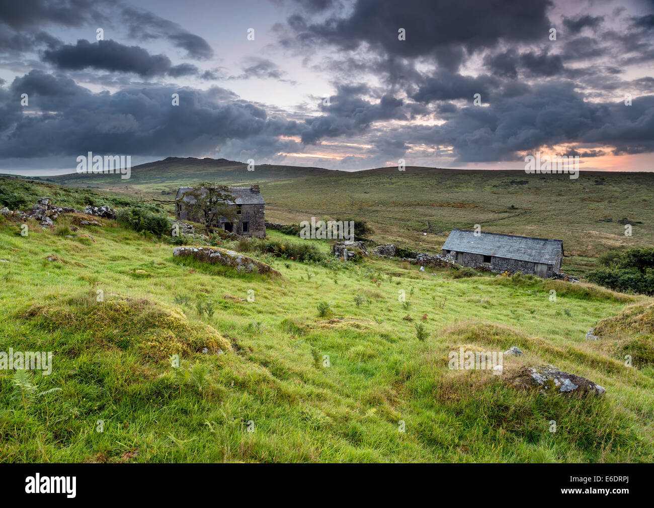 Derelict farmhouse on Bodmin Moor with Brown Willy behind the highest point in Cornwall Stock