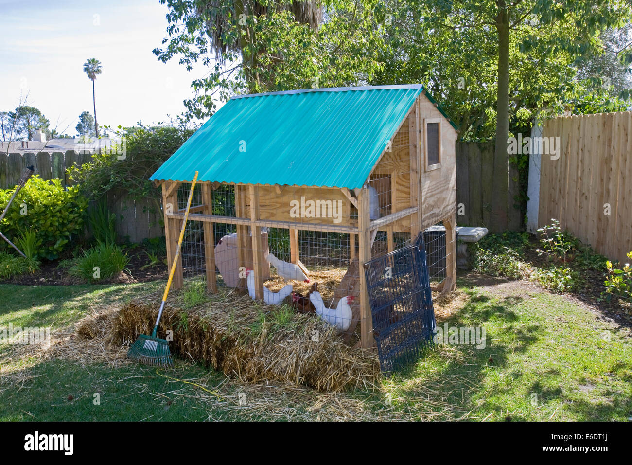 Chicken coop in backyard of house in Los Angeles, California, USA Stock