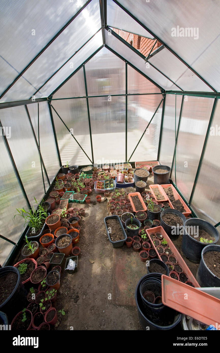 A small greenhouse at the Downtown Value School, a charter school in downtown Los Angeles, California, USA. Stock Photo