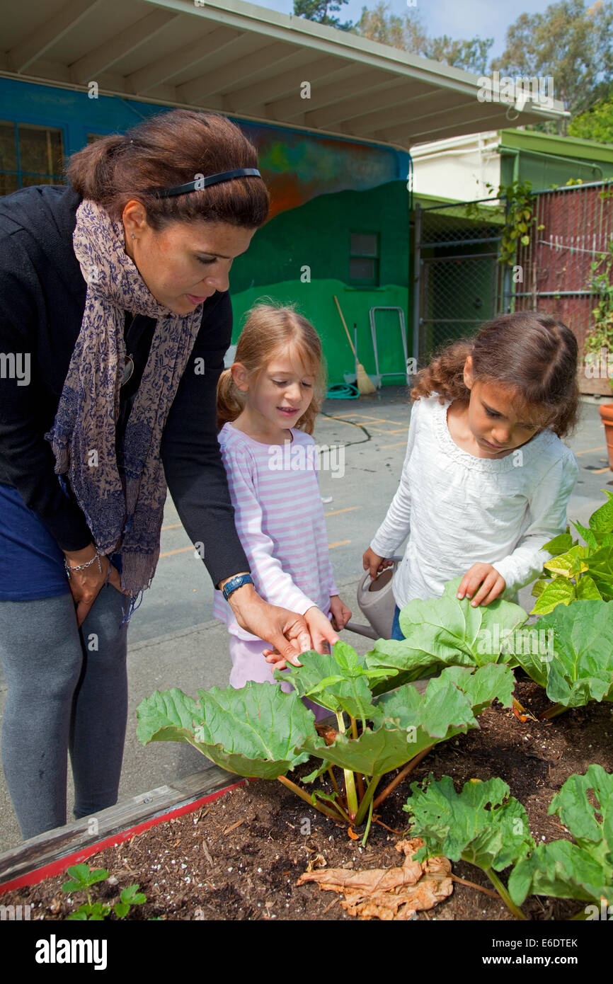 Children Gardening Planter Hi Res Stock Photography And Images Alamy Children Gardening Planter Hi Res Stock Photography And Images Alamy
