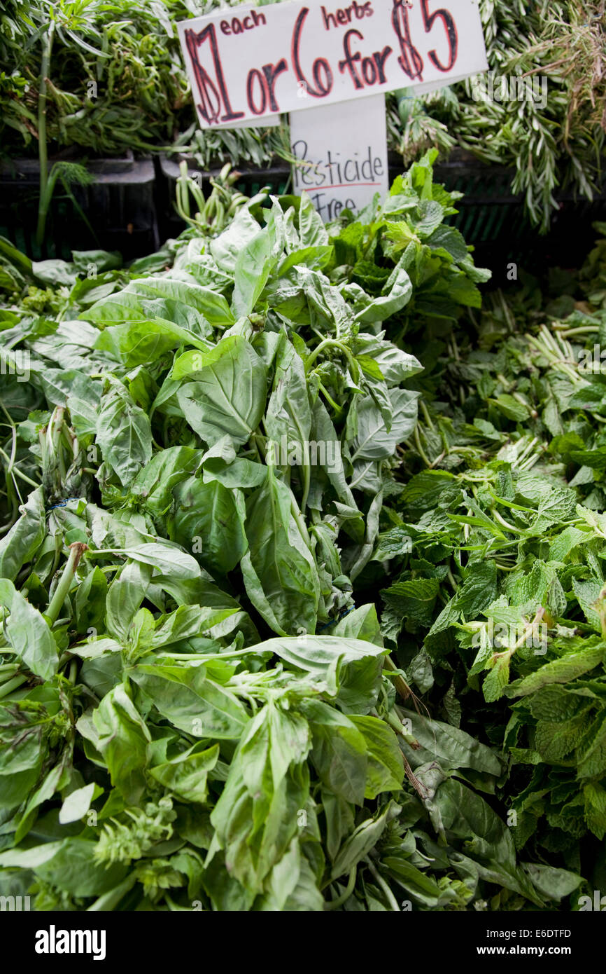 Herbs at the Culver City Farmer's Market Tuesday afternoons, Culver