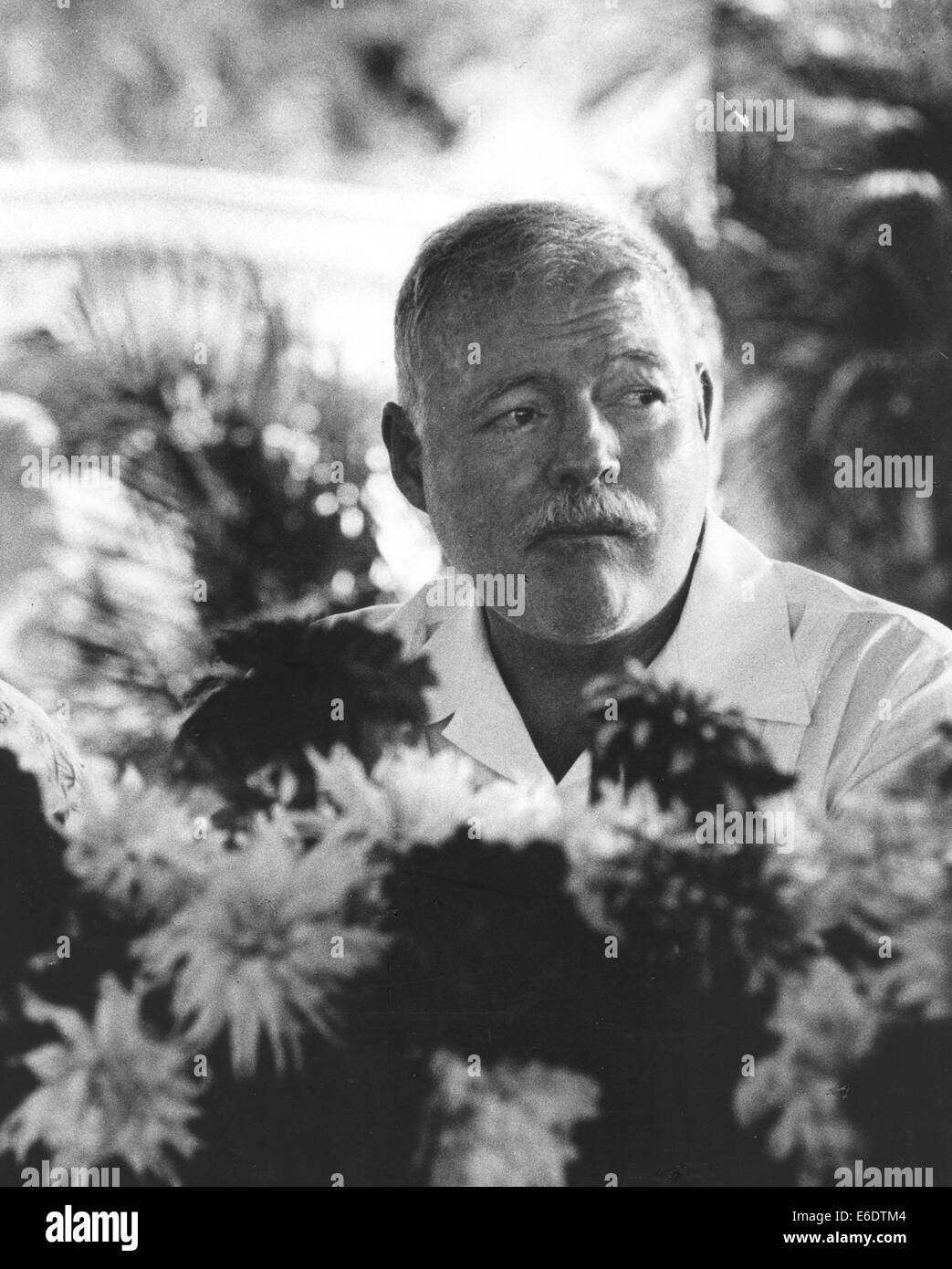 Ernest hemingway black and white hi-res stock photography and images ...