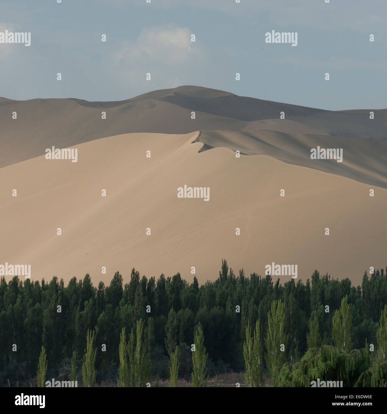 My Image 24