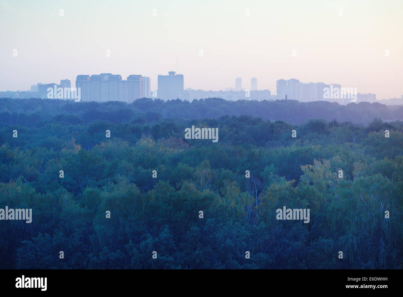 blue and pink early sunrise over urban houses and park in summer morning Stock Photo