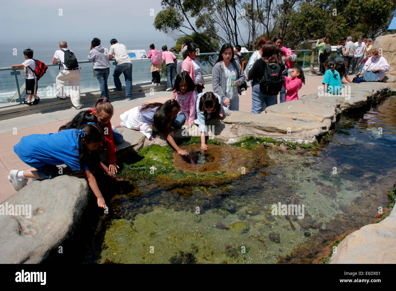 Birch Aquarium At Scripps, La Jolla, California, USA Stock Photo Alamy