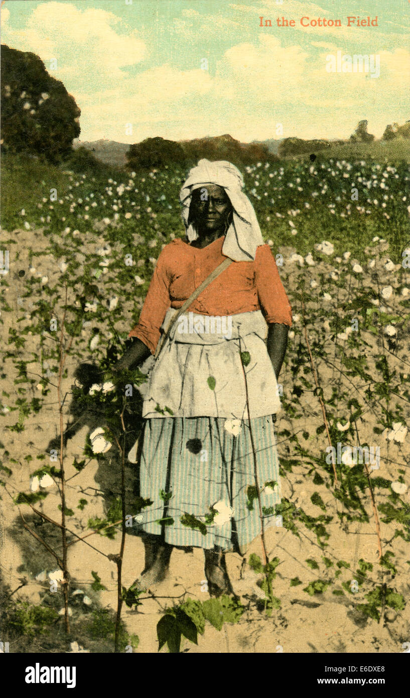 African-American Female Cotton Picker in Field, USA, Hand-Colored Postcard, circa 1910 Stock Photo
