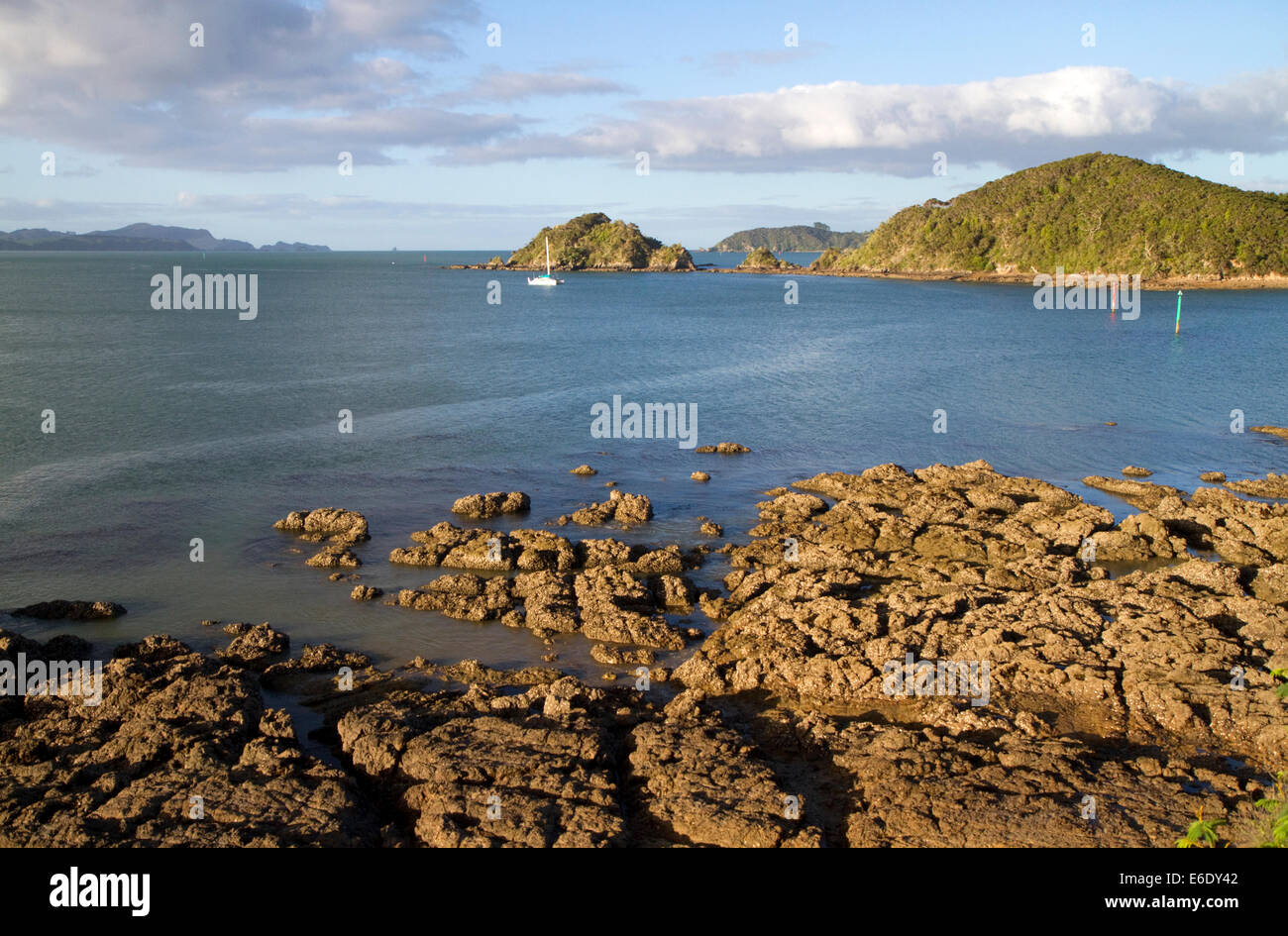 The rocky coast of Bay of Island, North Island, New Zealand. Stock Photo
