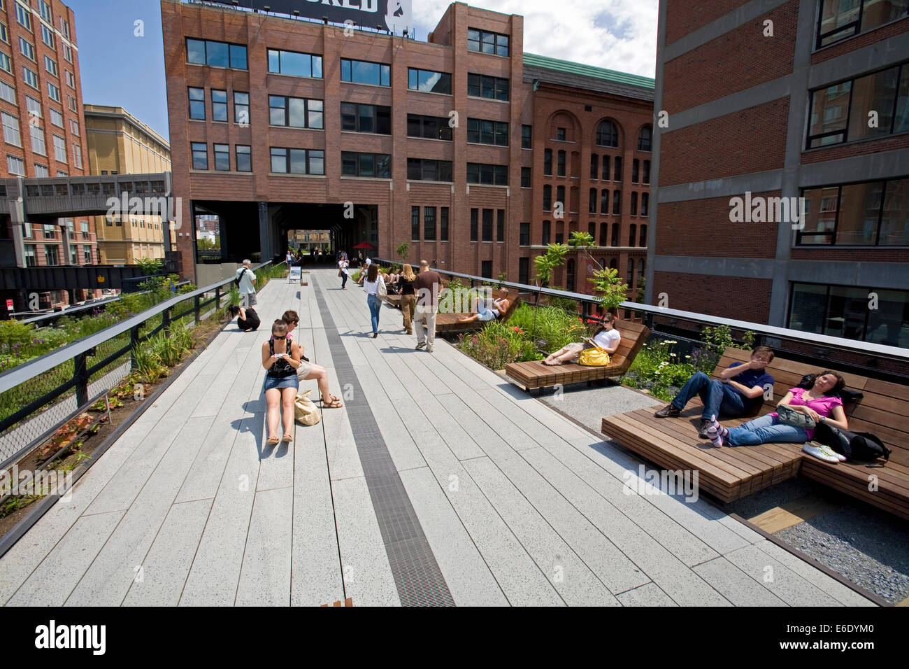 The High Line Park, Chelsea, Manhattan, New York, USA Stock Photo Alamy