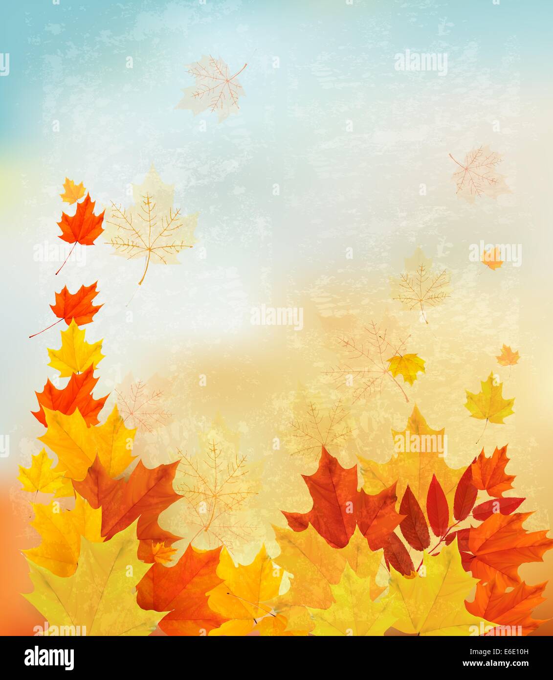 Autumn background with colorful leaves. Back to school Vector ...