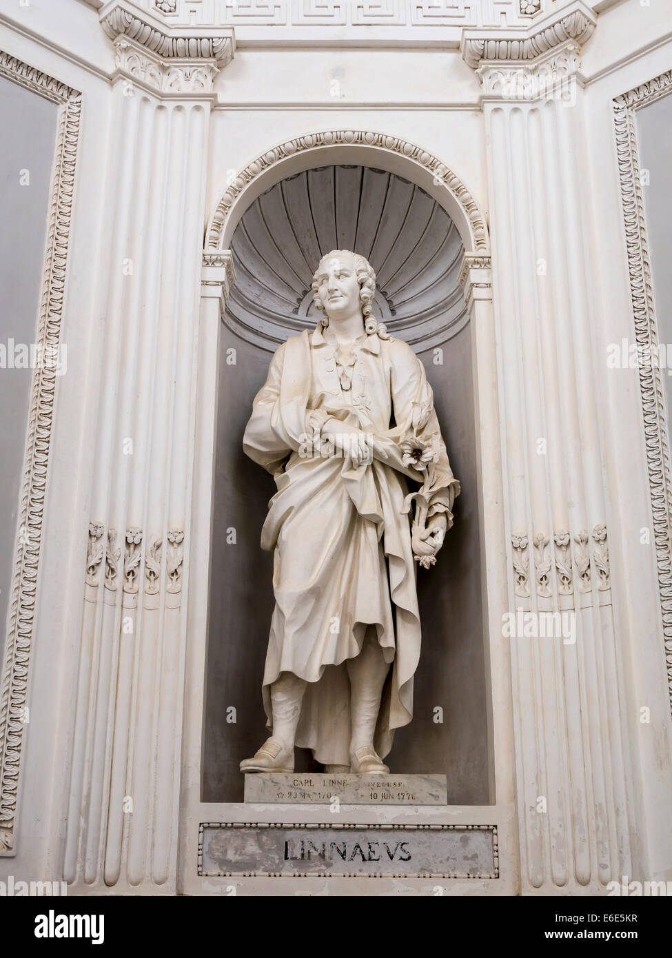 Statue of Linnaeus at Villa Giulia, Palermo, Sicily, Italy Stock Photo