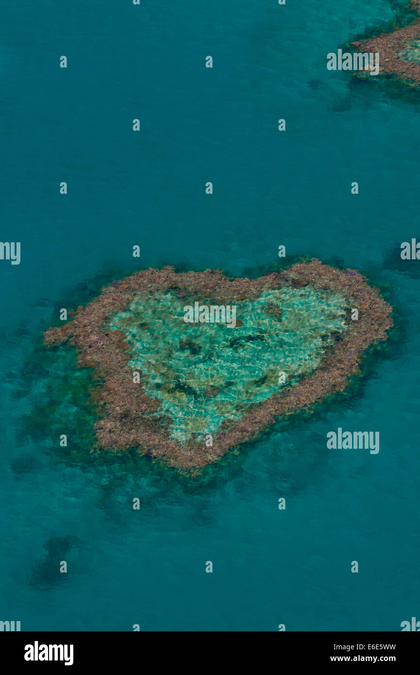 Aerial view, Heart Reef, Great Barrier Reef, UNESCO World Heritage Site, Queensland, Australia Stock Photo