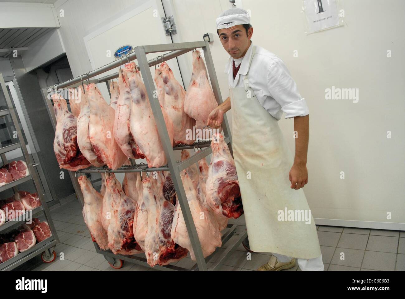 Polesine Parmense (Italy), working of the meats for the production of the 'culatello' typical ham Stock Photo