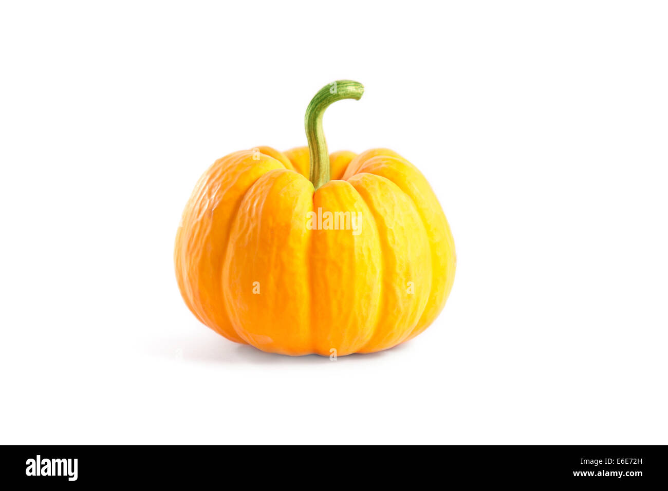 Decorative orange pumpkin, isolated on white background Stock Photo - Alamy