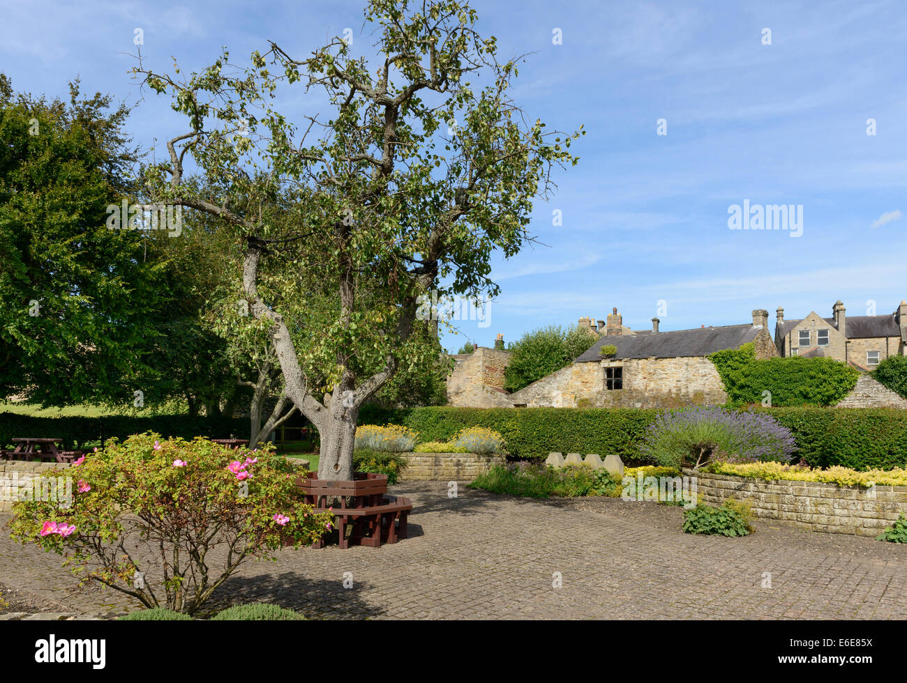 The Sensory Garden at Barnard Castle Stock Photo