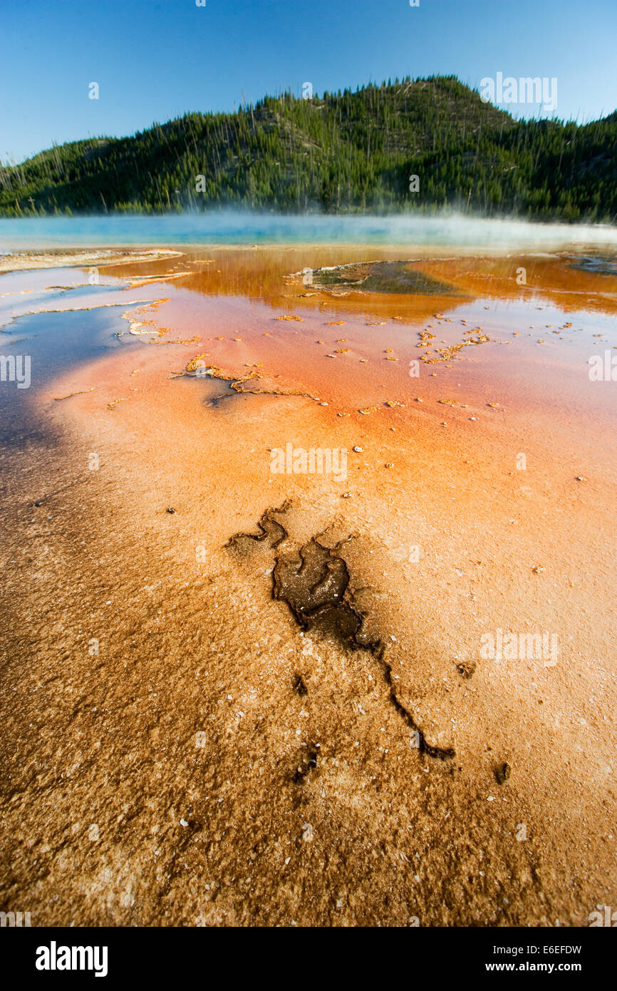 Geothermal spring Yellowstone National Park, USA Stock Photo