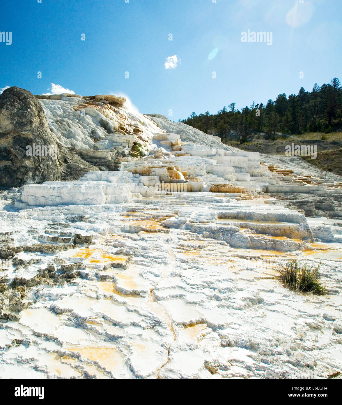 Travertine terraces at Palette Spring, Mammoth Hot Springs, Yellowstone National Park, Wyoming, USA Stock Photo