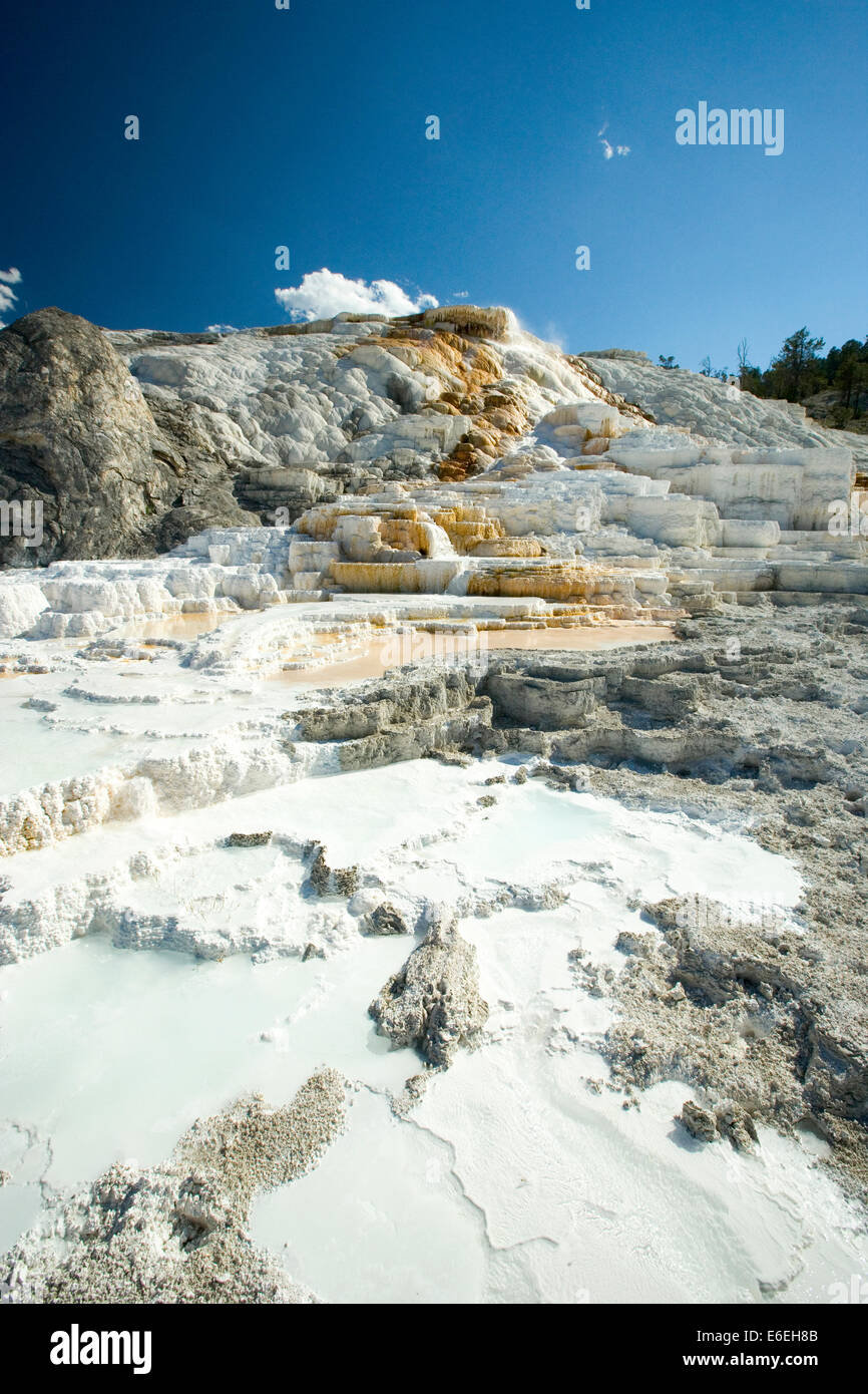 Travertine terraces at Palette Spring, Mammoth Hot Springs, Yellowstone National Park, Wyoming, USA Stock Photo