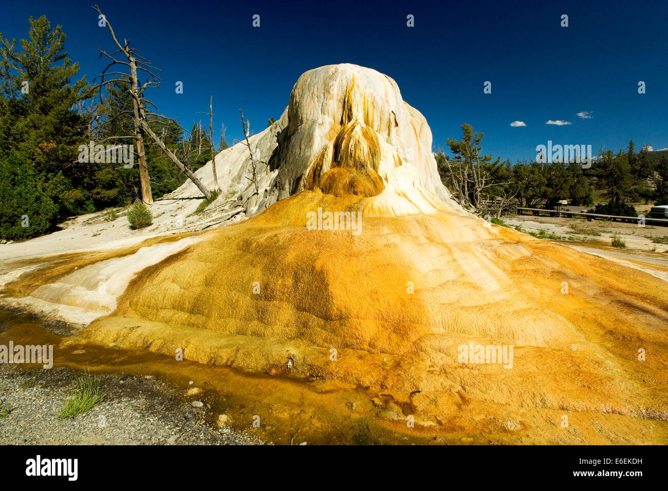 Elephant hot spring at Mammoth geothermal area, Yellowstone national park, Wyoming, US Stock Photo