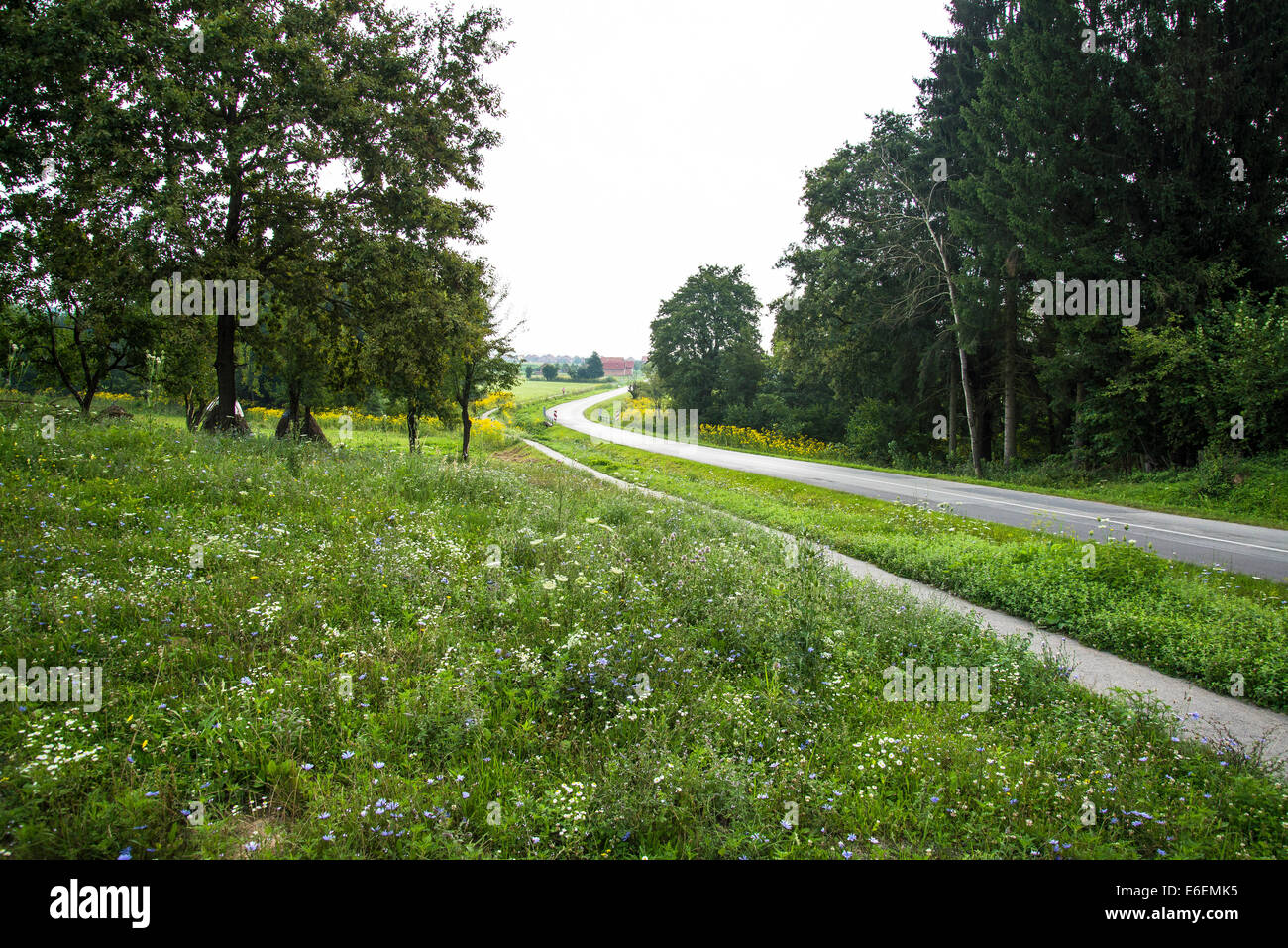 Idyllic countryside in Western Slavonia near Vocin, Croatia Stock Photo