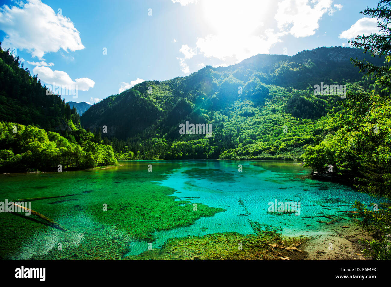 Lake in Jiuzhaigou National Park, China. Stock Photo