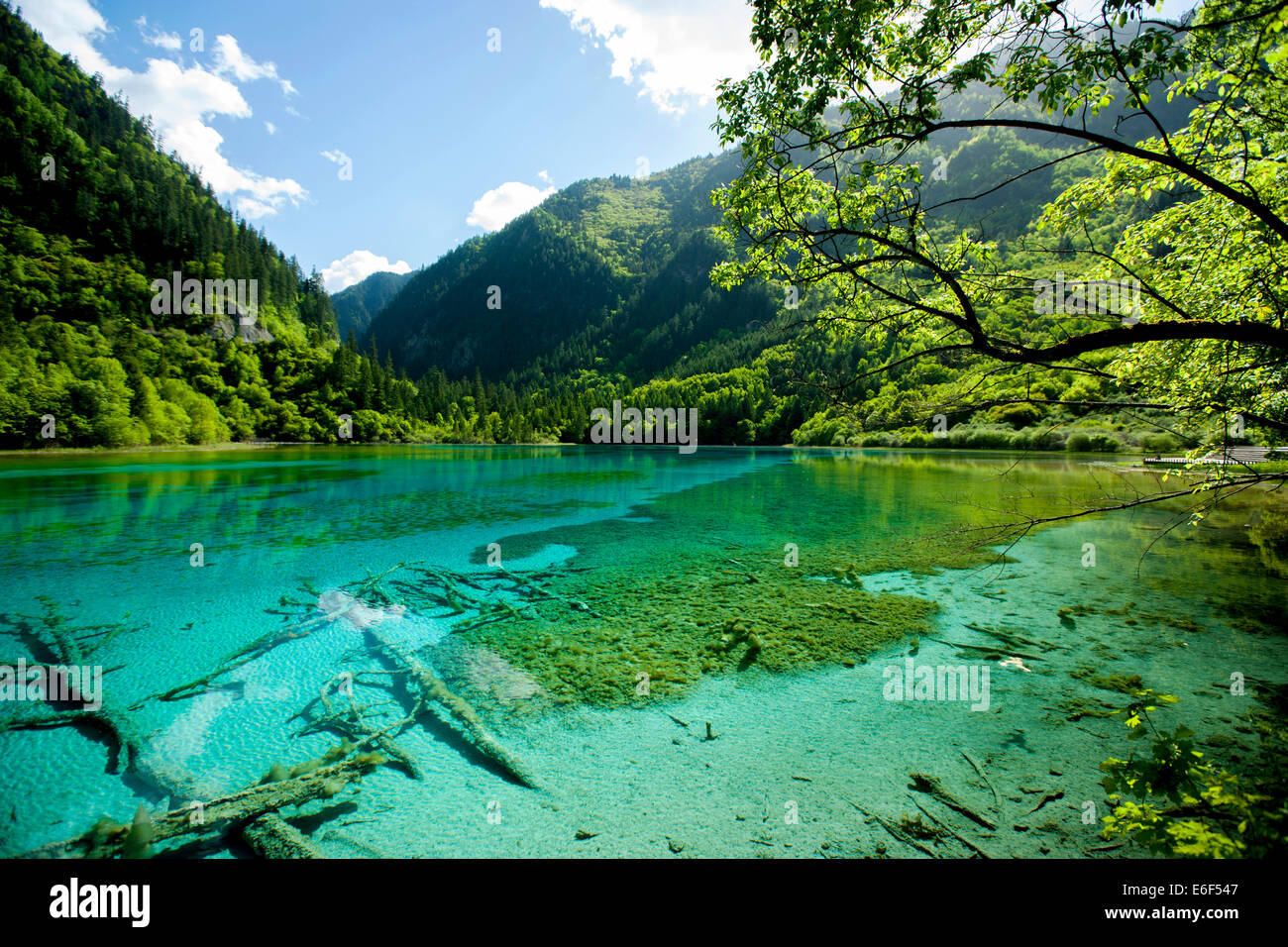 Lake in Jiuzhaigou,  China. Stock Photo