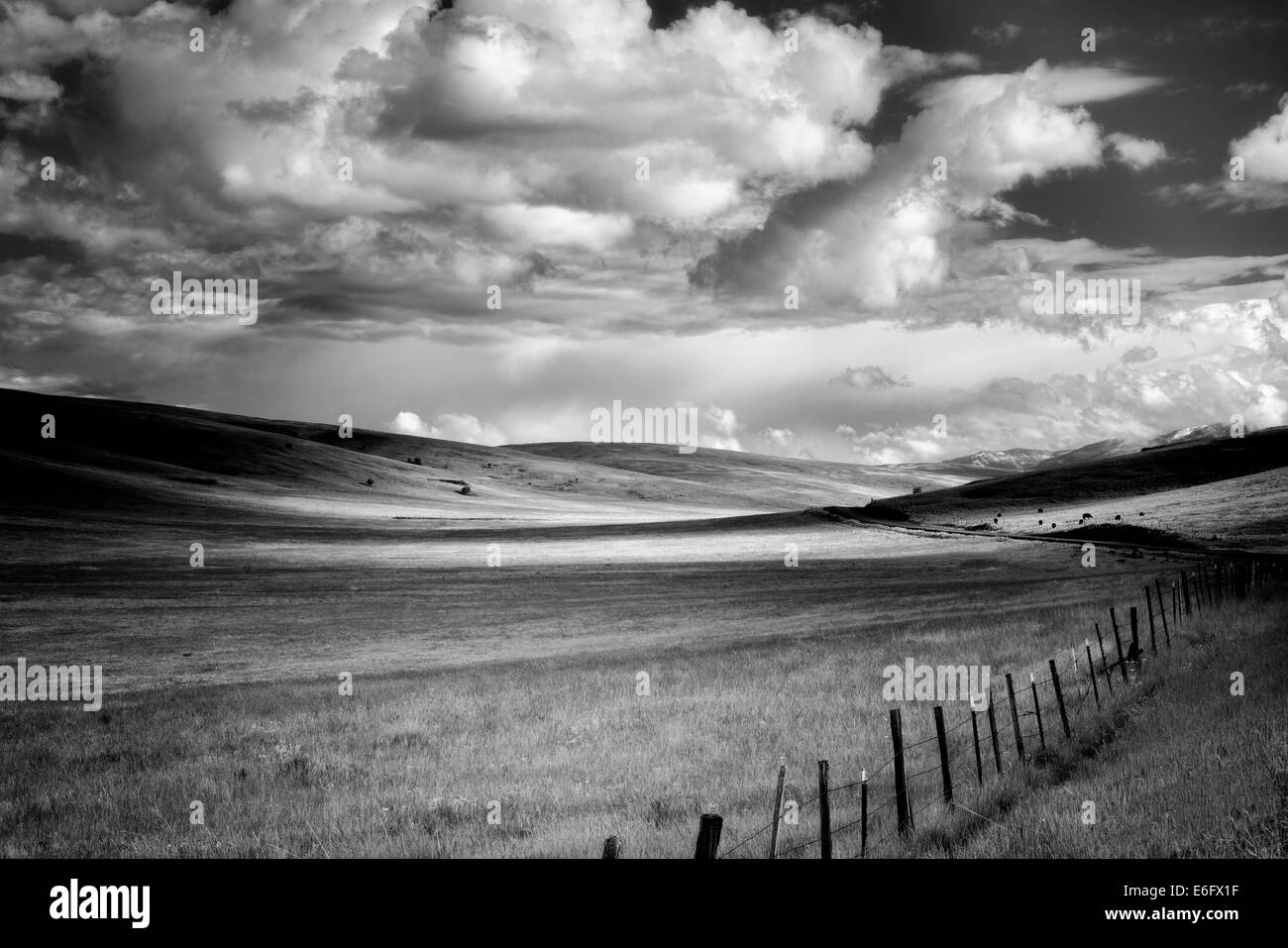 Pasture clouds and fence. Zumwalt Prairie Preserve, Oregon,cow,cows Stock Photo