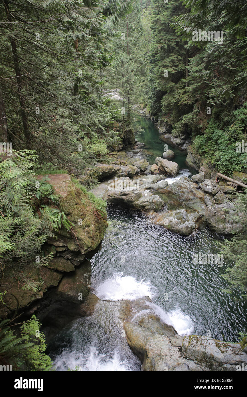 Lynn Canyon Park, located north of Vancouver Canada, is a popular