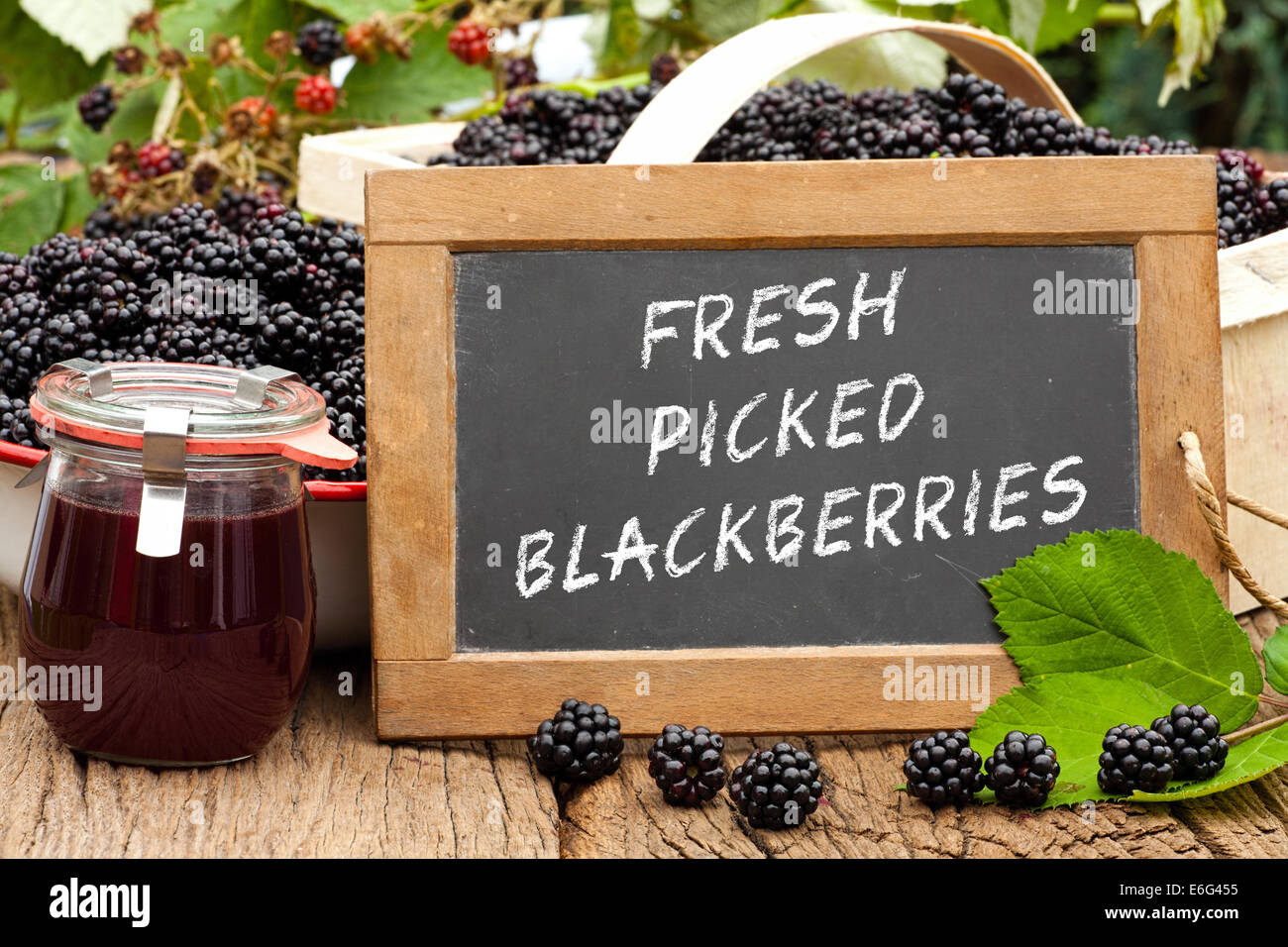 Slate blackboard with the words Fresh Picked Blackberries, in front of