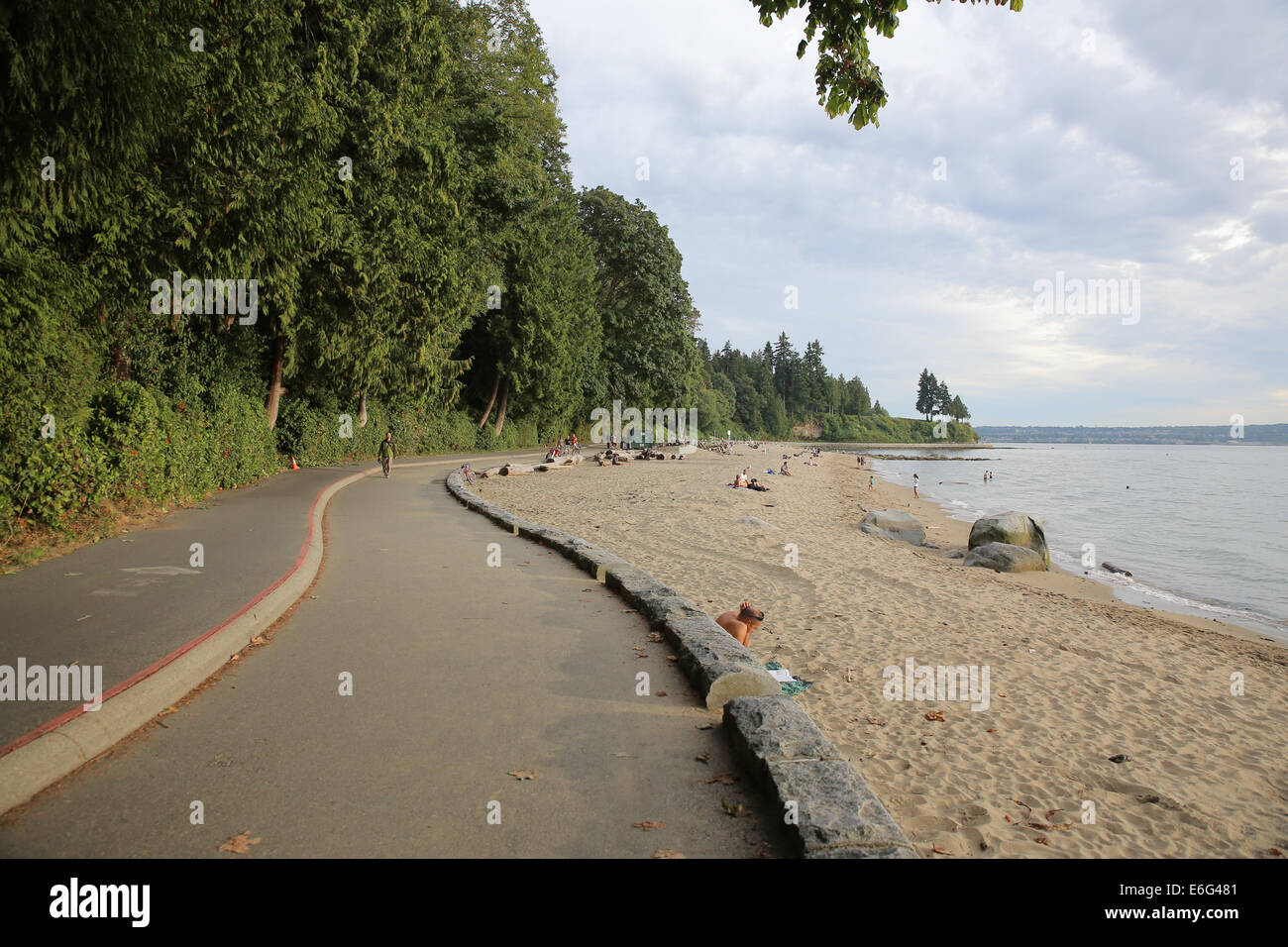 Stanley park in Vancouver is a large urban parks and a great place for rollerblading, cycling, jogging or relaxing. Stock Photo