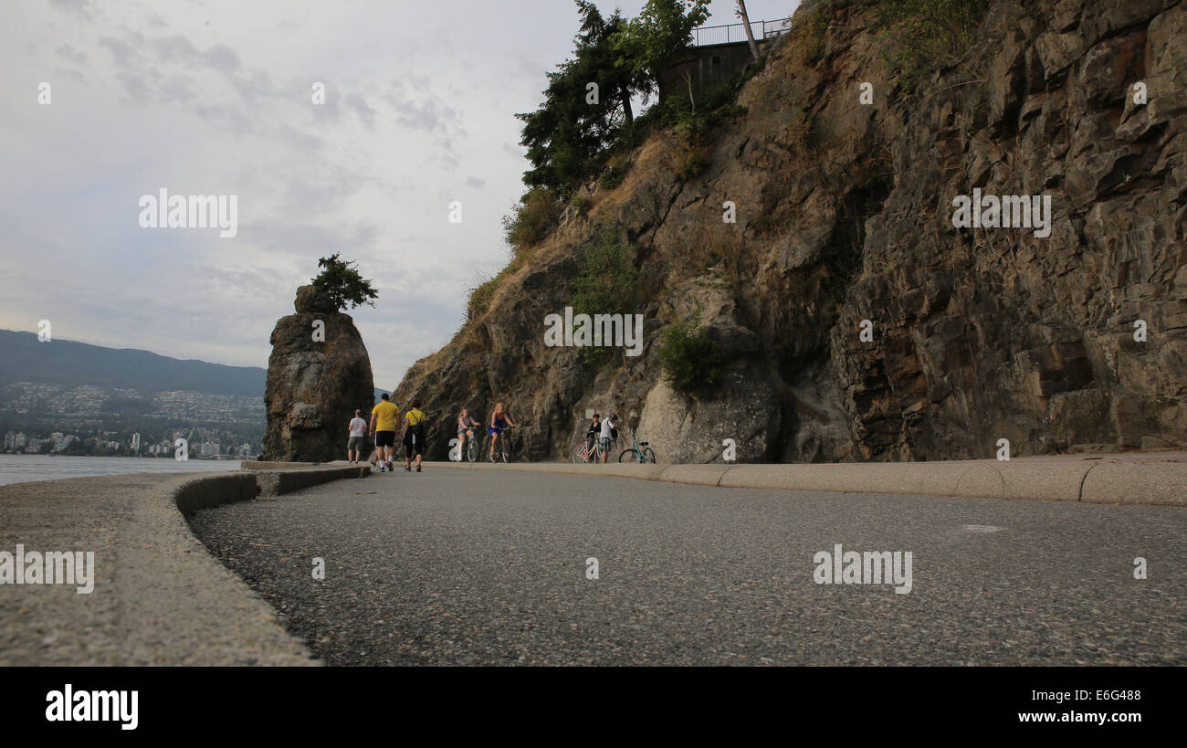 Stanley park in Vancouver is a large urban parks and a great place for rollerblading, cycling, jogging or relaxing. Stock Photo