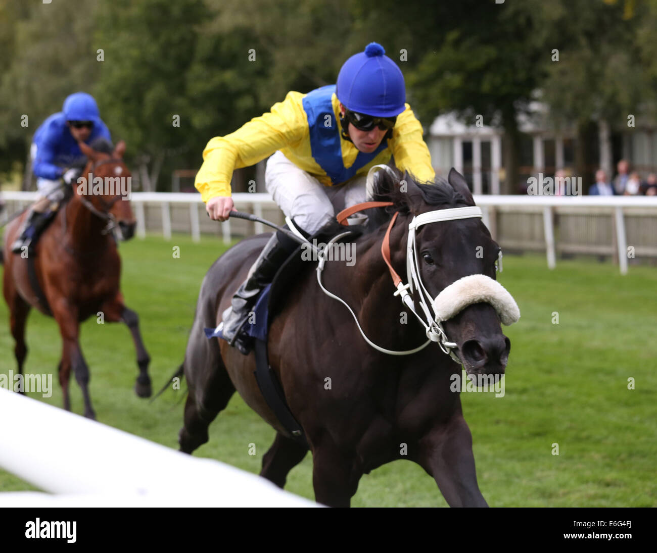 Newmarket, UK. 22nd Aug, 2014. Closing of the July Course Day 1. Batrana under Pat Cosgrave winning The Horse Requisites Newmarket Stockist Of TRM Maiden Stakes Credit:  Action Plus Sports/Alamy Live News Stock Photo