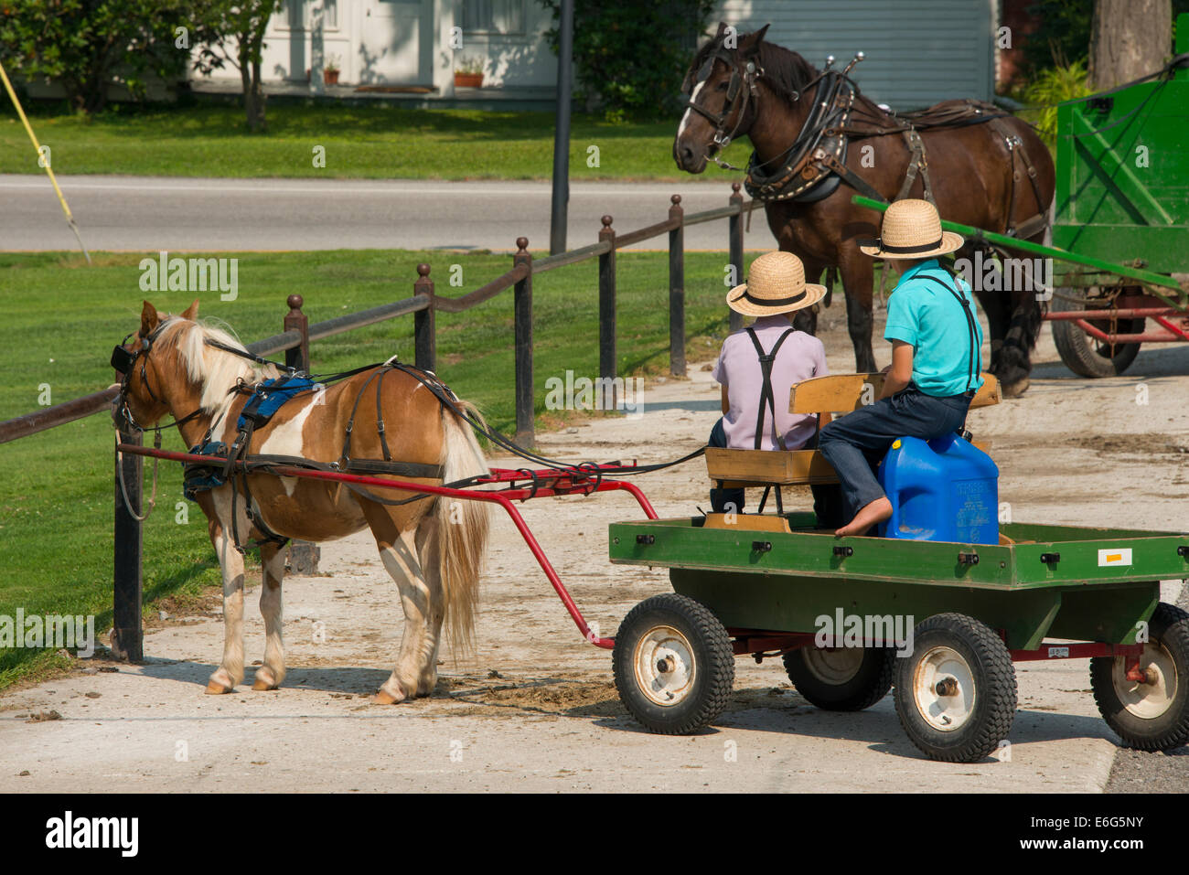 Ohio, Geauga County, Mesopotamia. Typical young Amish boys in