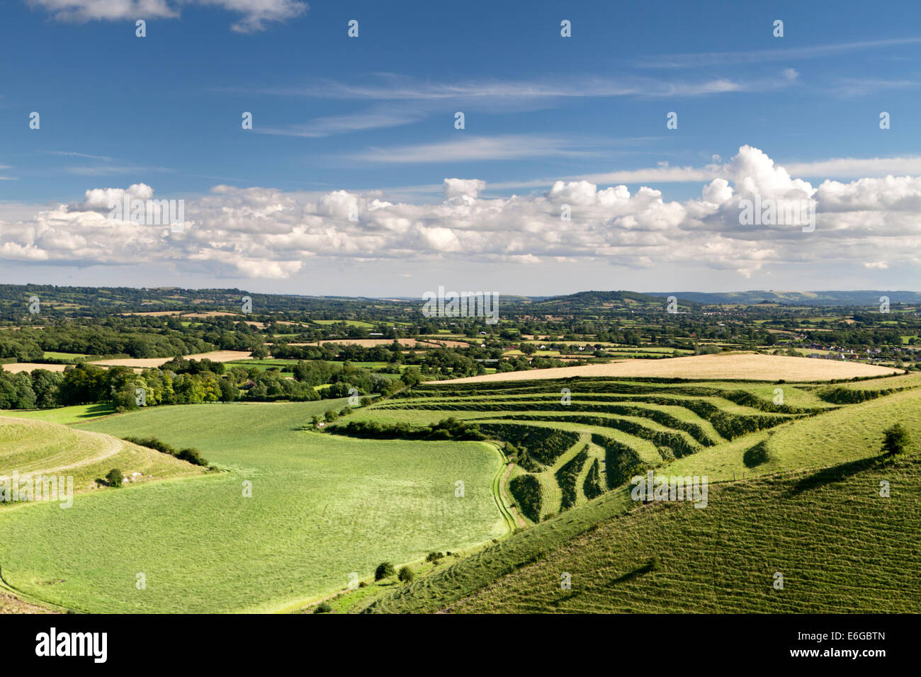 The chalk downs at Mere Down, near Mere in Wiltshire, England. Stock Photo