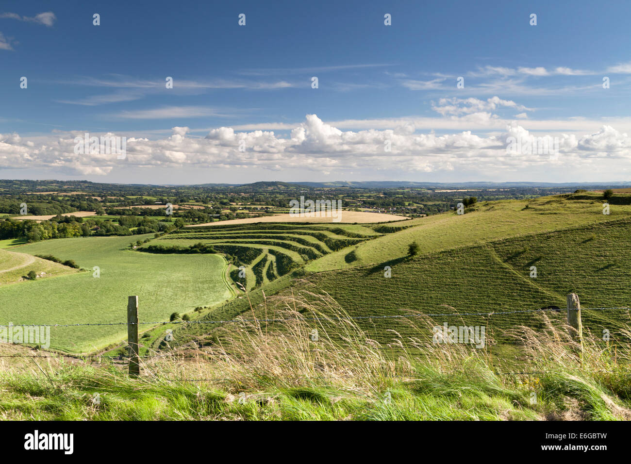 The steep slopes of the chalk downs at Mere Down, near Mere in ...