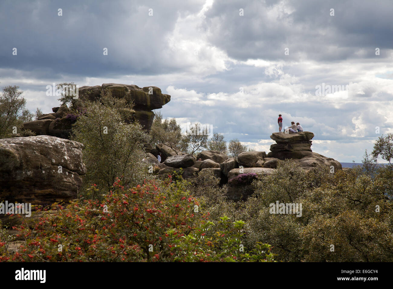 People at Brimham Rocks; Brimham Crags a collection of balancing natural rock formations sculpted over centuries by ice, wind and rain in the North Yorkshire Dales. holidaying active kids and visiting tourists at the National Trust Site making a great day out for families and climbers enjoying  a peculiar set of rock formations composed of millstone grit shaped by wind and weather Stock Photo