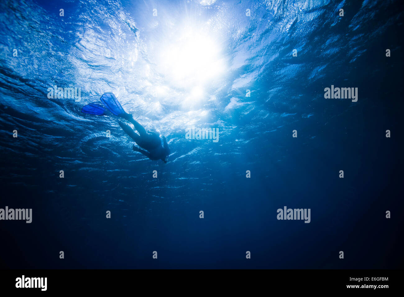 Snorkeling hawaii hi-res stock photography and images - Alamy