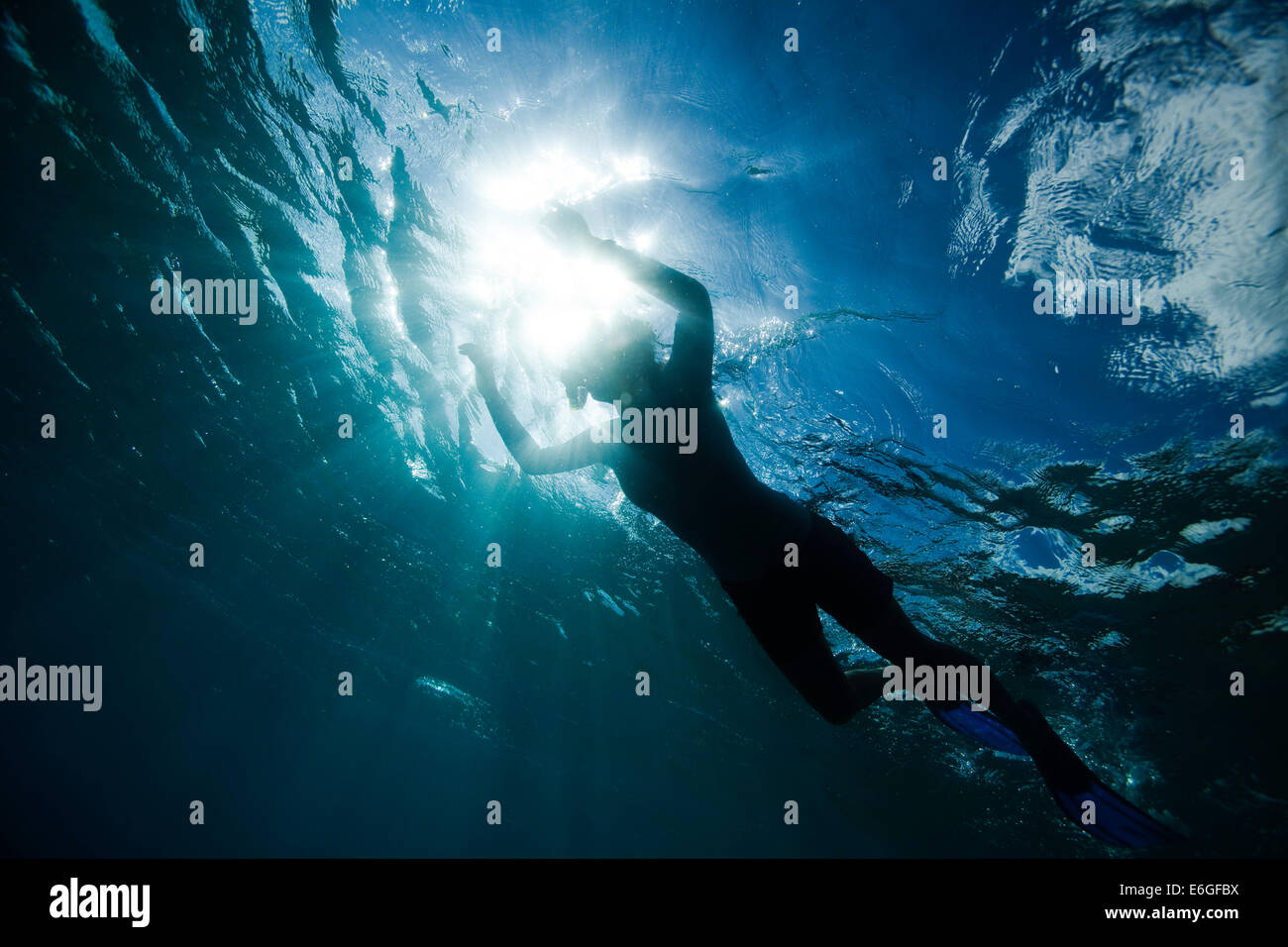 Snorkeling hawaii hi-res stock photography and images - Alamy