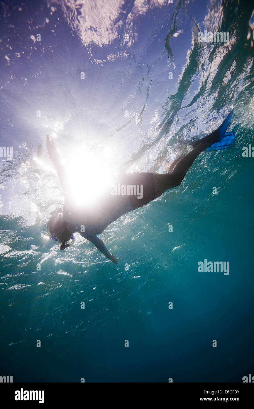 Snorkeling hawaii hi-res stock photography and images - Alamy