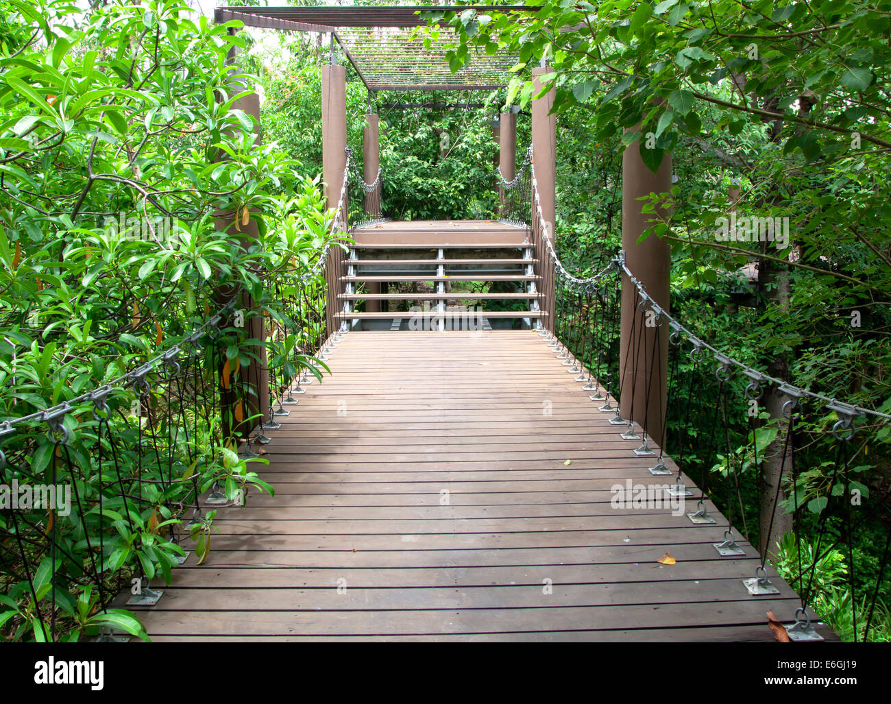 Wooden walkway in the garden public green leaves Stock Photo - Alamy