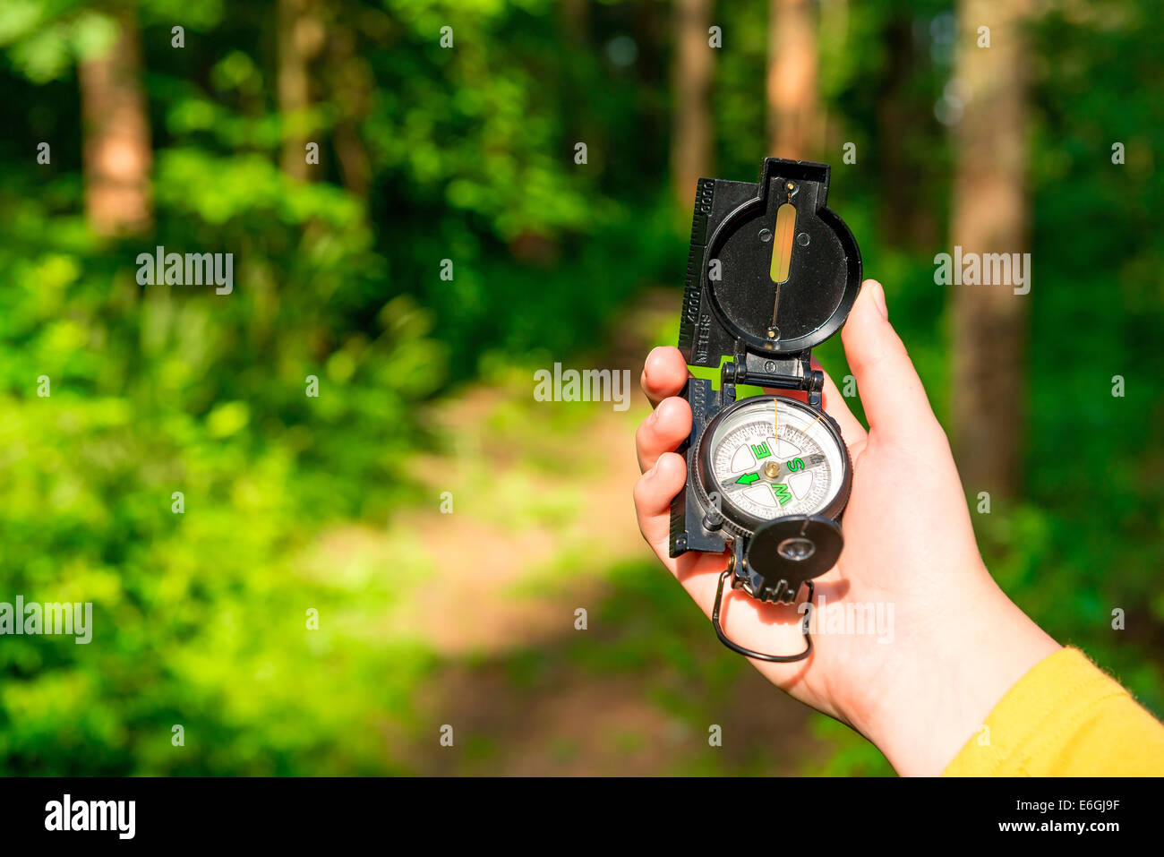 compass in a female hand lost in the woods Stock Photo - Alamy