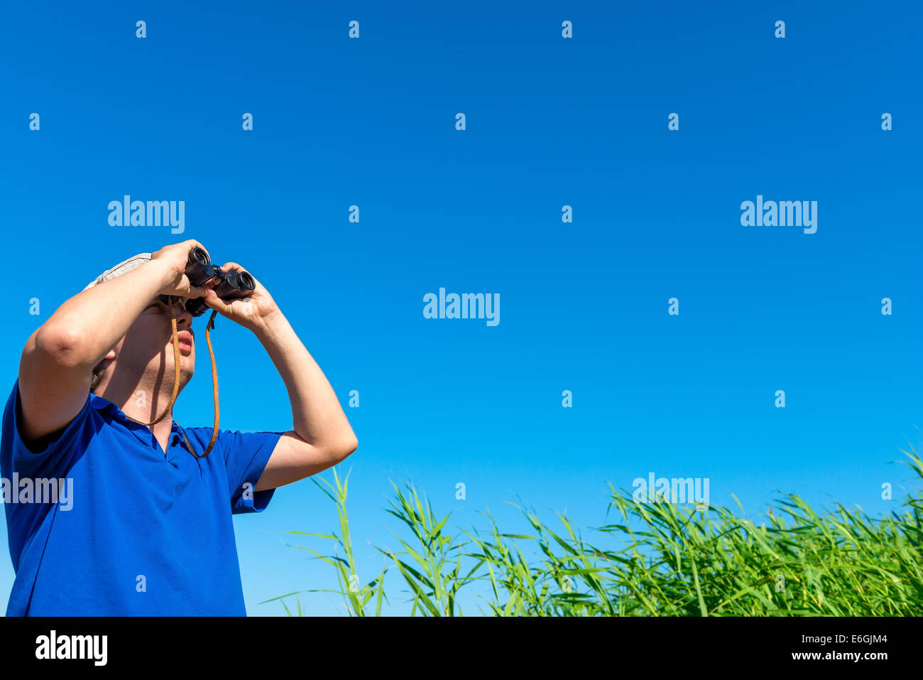 looking for something in the blue sky Stock Photo