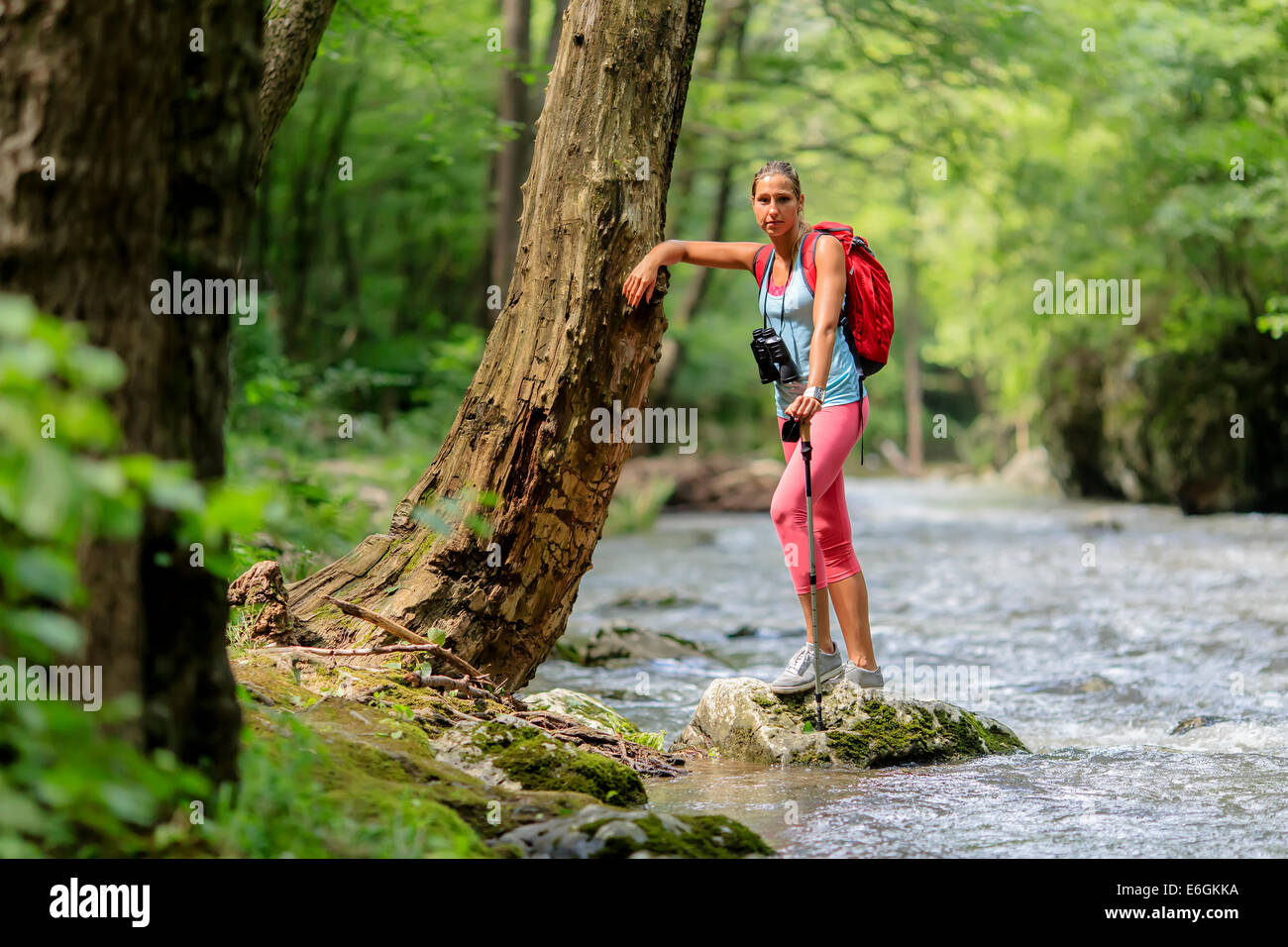 Young woman hiking in the forest Stock Photo - Alamy