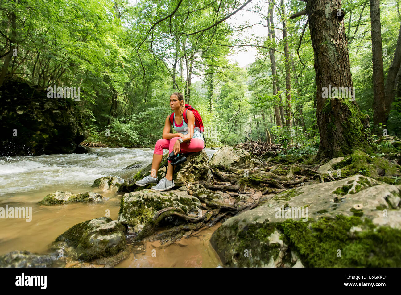 Young woman hiking in the forest Stock Photo - Alamy