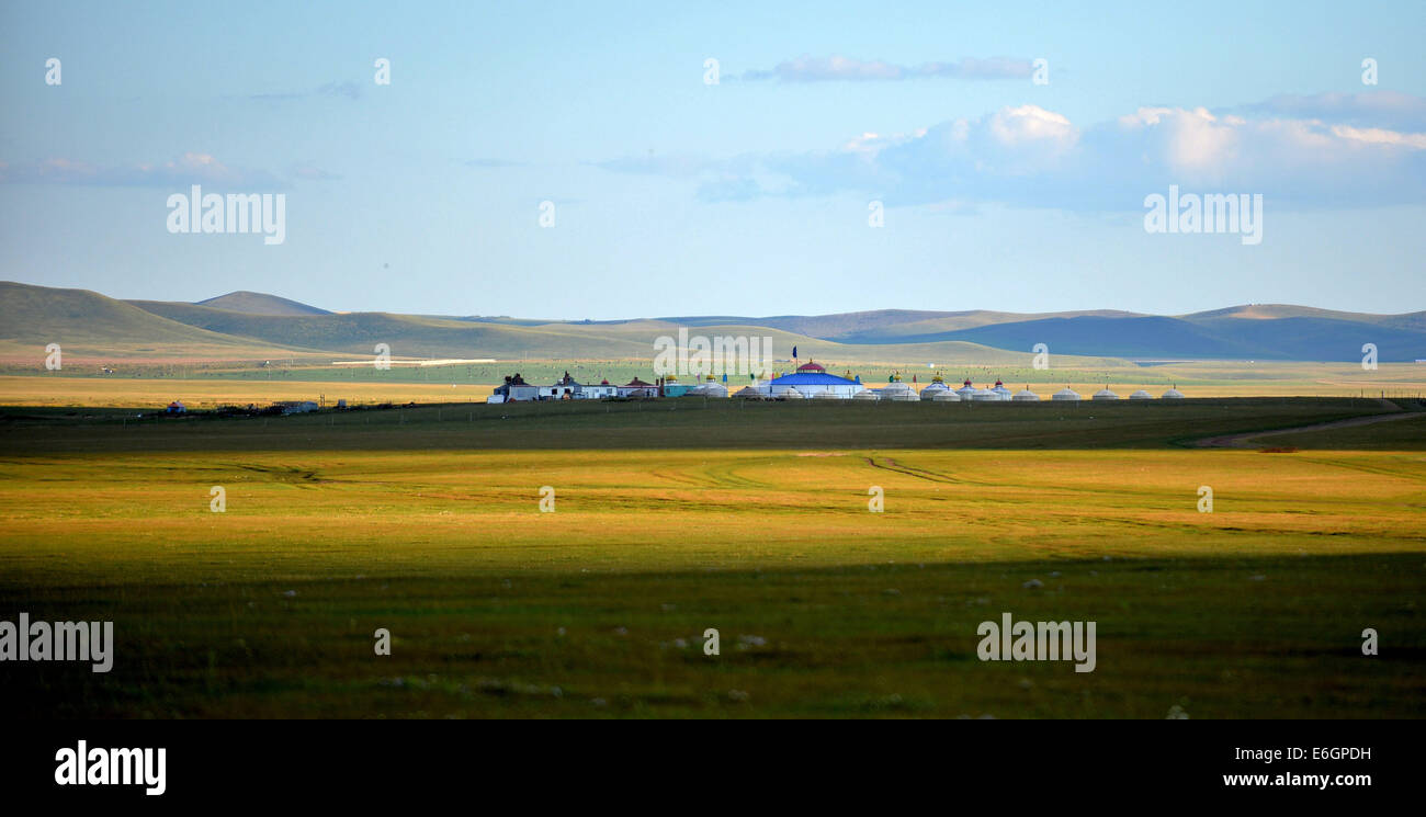 (140823) -- HULUN BUIR, Aug. 23, 2014 (Xinhua) -- Photo taken on Aug. 21, 2014 shows the Mongolian yurts on the grassland of Hulun Buir, north China's Inner Mongolia Autonomous Region.  (Xinhua/Ren Junchuan) (yxb) Stock Photo