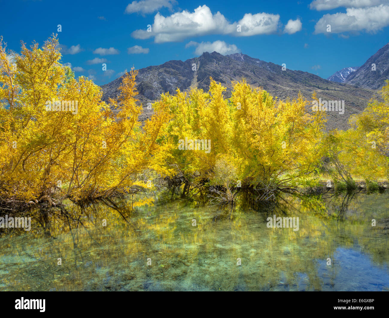 Small beaver pond on McGee Creek with fall color. Eastern Sierra Nevada mountains, California Stock Photo